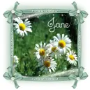 Jane