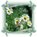 SpringRain~Belle