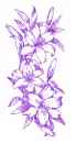 lilies