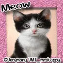 Cute Kitty Sticker