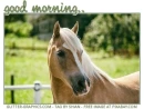 good morning.. 