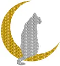 cat on the moon