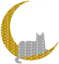 cat on the moon