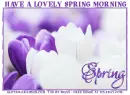 HAVE A LOVELY SPRING MORNING