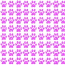 background with paw prints
