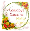 Goodbye Summer . . .