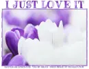 I JUST LOVE IT, GG RELATED, NATURE, TEXT