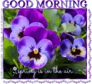 I LOVE YOUR GRAPHIC, GG RELATED, PANSY, TEXT