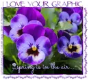 I LOVE YOUR GRAPHIC, GG RELATED, PANSY, TEXT