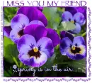 I MISS YOU MY FRIEND.. SPRING IS IN THE AIR