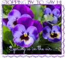 STOPPING BY TO SAY HI.. SPRING IS IN THE AIR