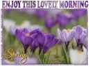 ENJOY THIS LOVELY MORNING