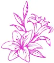 lily