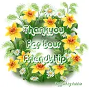 Thankyou for your Friendship