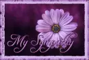 My Sympathy, FLOWER, PURPLE, TEXT