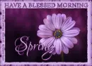 HAVE A BLESSED MORNING.. SPRING, FLOWER, PURPLE, TEXT