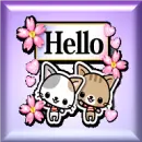 HELLO STICKER