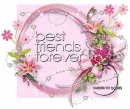 Best Friends Forever