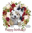 Happy birthday!