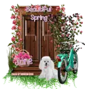 Beautiful Spring - Jane