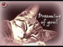 dreaming of you