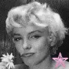 marilyn