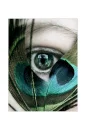 The Eye of the Peacock