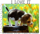 I LOVE IT, ANIMALS, PUPPY, GG RELATED, TEXT