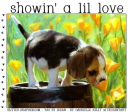showin' a lil love, ANIMALS, DOG, NATURE, TEXT