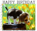 HAPPY BIRTHDAY, SEASONAL, PUPPY, TEXT