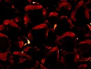 ShineLikeItDoesGarnetCrystals
