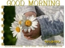 GOOD MORNING.. MOM, DAISIES, GREETINGS, TEXT