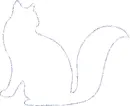 cat