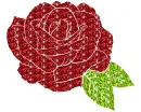 rose