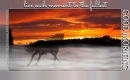 live each moment to the fullest.. GOOD MORNING