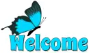 WELCOME, BUTTERFLY, TURQUOISE, TEXT