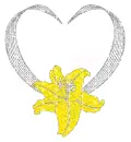 frame of a heart with a lily