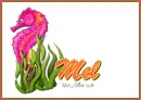 Mel - Seaweed - Sea Horse