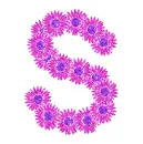 s with daisies