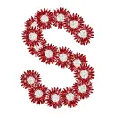 s with daisies