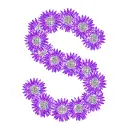 s with daisies