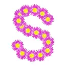 s with daisies