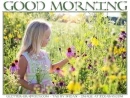 GOOD MORNING, GIRL, SEASONAL, FLOWERS, TEXT