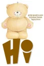 Hi, BEAR, ANIMALS, GREETINGS, TEXT