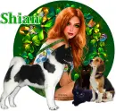 Shian 