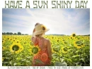 HAVE A SUN SHINY DAY, GIRL, FLOWERS, TEXT