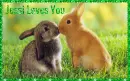 Jessi Loves You