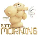 GOOD MORNING, ANIMALS, BEAR, TEXT