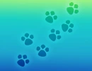 TEAL Background with paw print 