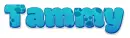 Tammy, TEAL, PAW PRINT, DOG, TEXT
